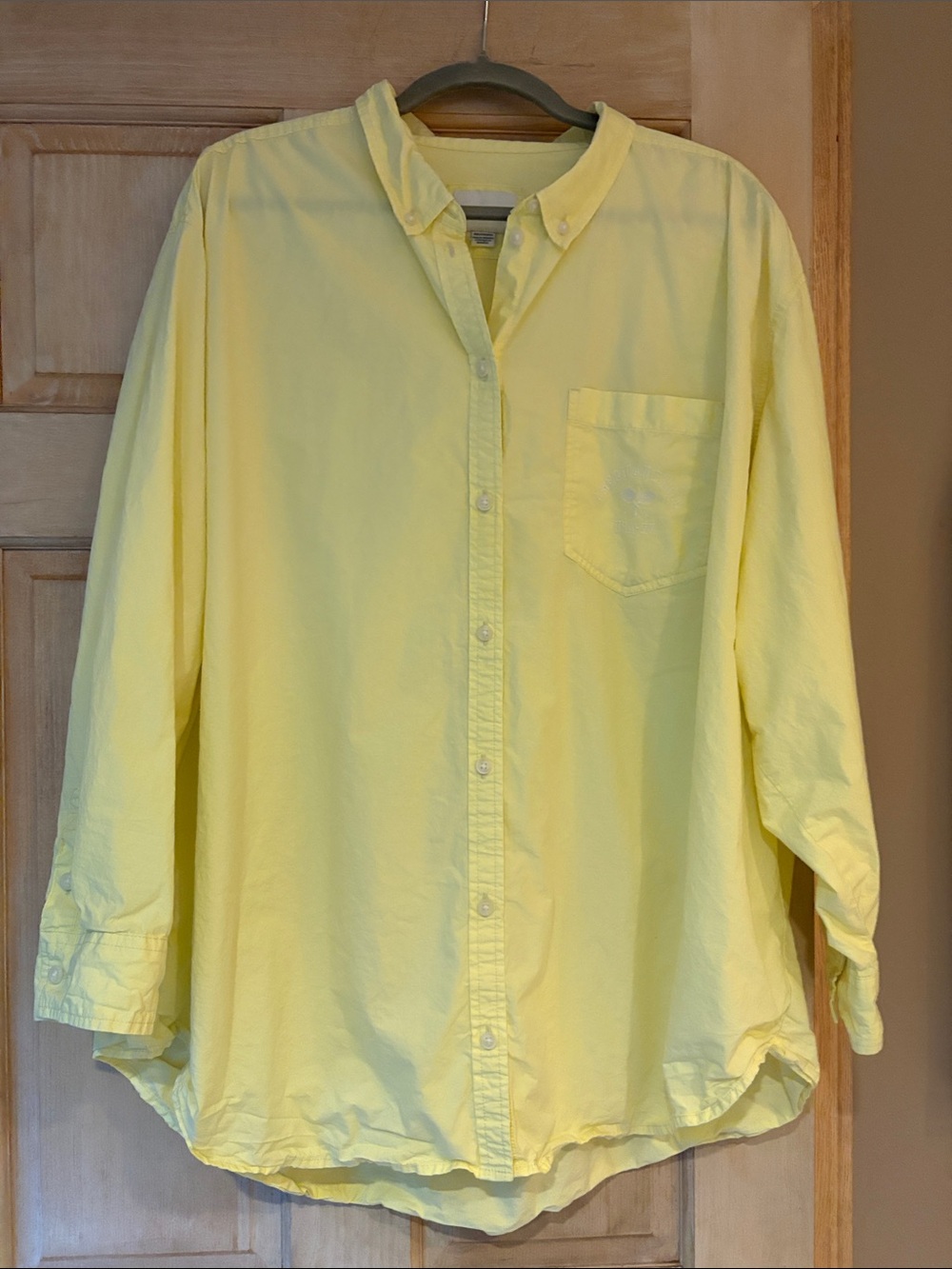 American Eagle Outfitters Pale Yellow Long-Sleeve Button-Down Shirt XXL
